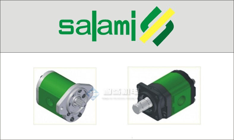 意大利SALAMI泵 SALAMI齿轮泵 