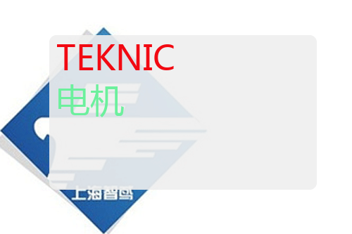 TEKNIC 电机 TEKNIC CPM-MCPV-2310S-RQN